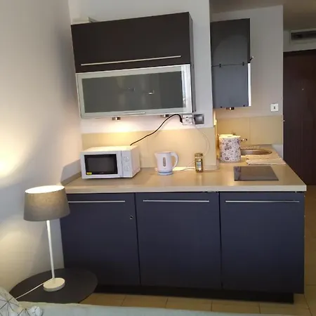 公寓 Nad Parseta 502