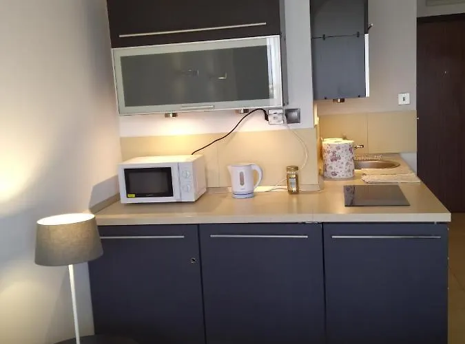 公寓 Nad Parseta 502